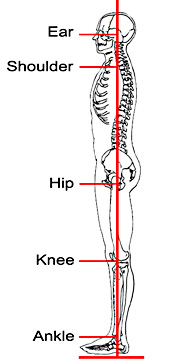 8 Elements of Good Posture